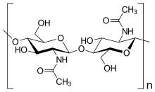 细(xì)胞(bāo)壁(bì)(图(tú)4)