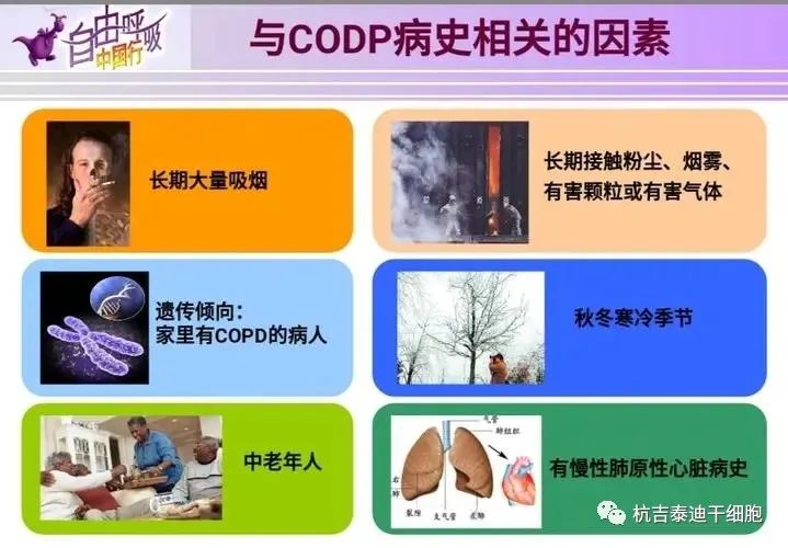 干细胞移植治疗慢性阻塞性肺疾病的临床研究进展(图2)