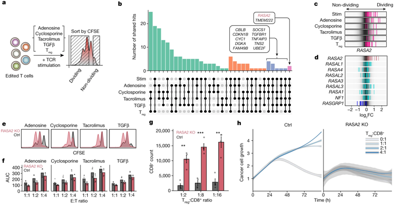 盘点：15项免疫细胞治疗最新研究进展(图2)