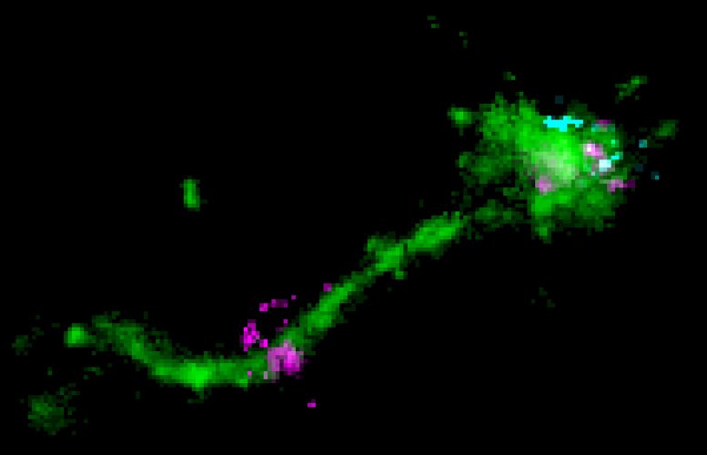 科学家们发现了 mRNA 疗法是如何被输送到细胞中的(图1)