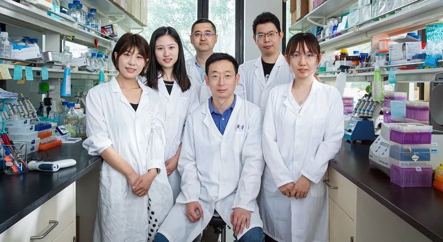Nature：回到生命起点！清华丁胜团队成功诱导全能干细胞(图5)