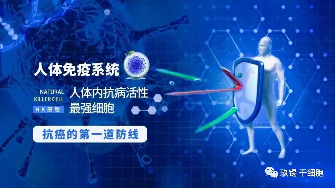 自体NK细胞免疫治疗对亚健康人群生活质量的临床研究(图5)