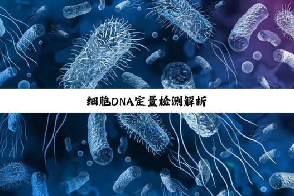 细胞DNA定量检测解析