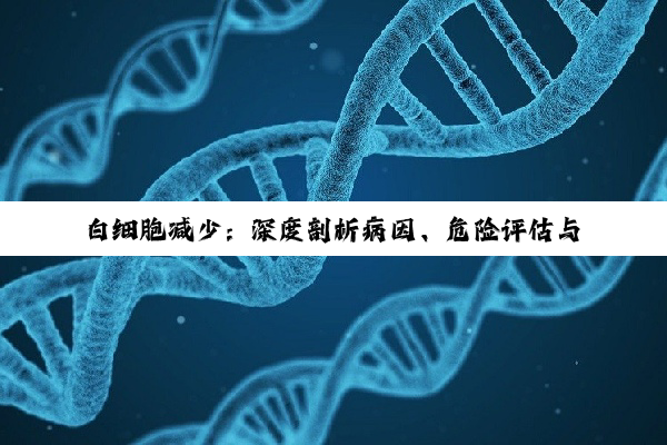 白细胞减少：深度剖析病因、危险评估与应对策略
