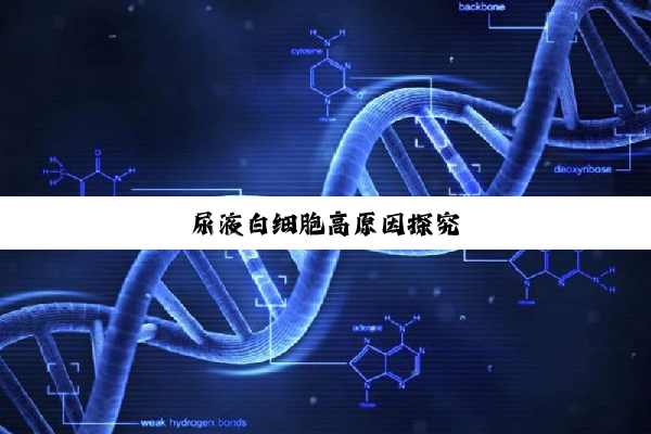 尿液白细胞高原因探究