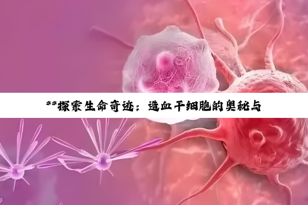 **探索生命奇迹：造血干细胞的奥秘与现代医学的辉煌**