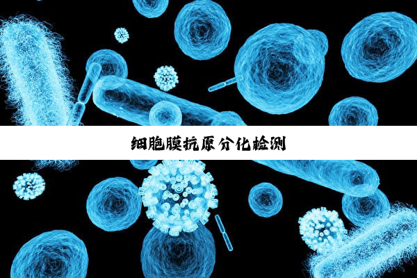 细胞膜抗原分化检测(cè)