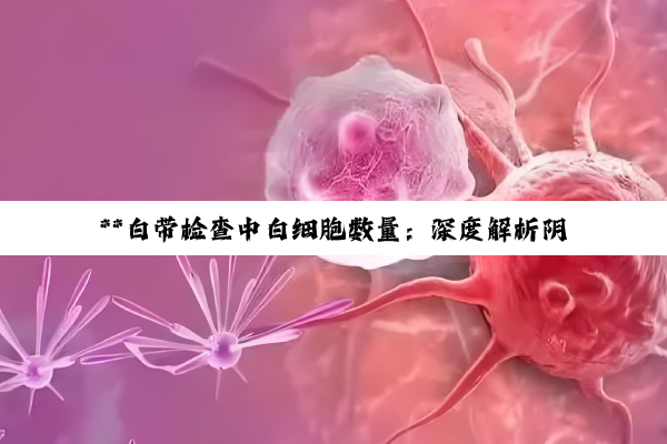 **白带检查中白细胞数量：深度解析阴道健康的微妙信号**