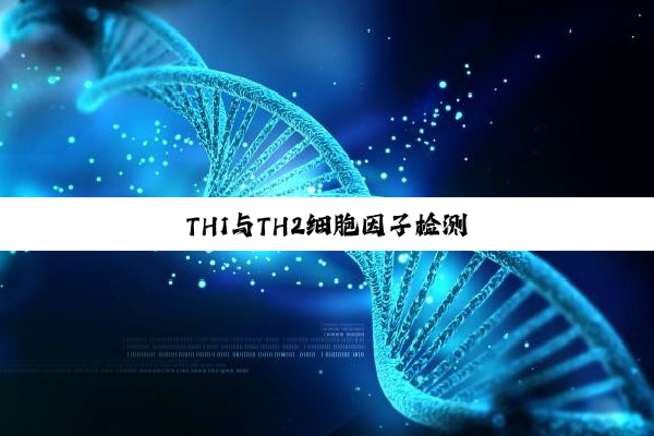TH1与TH2细胞因子检测