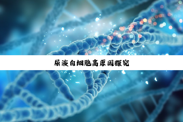 尿液白细胞高原因探究