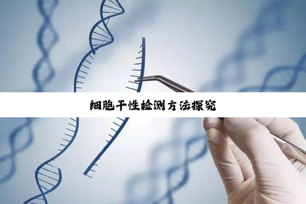 细胞干性检测方法探究